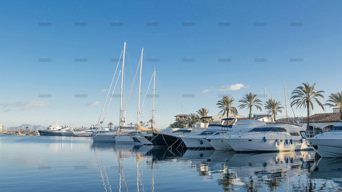 demo-attachment-648-Image-2