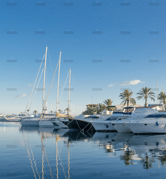 demo-attachment-648-Image-2