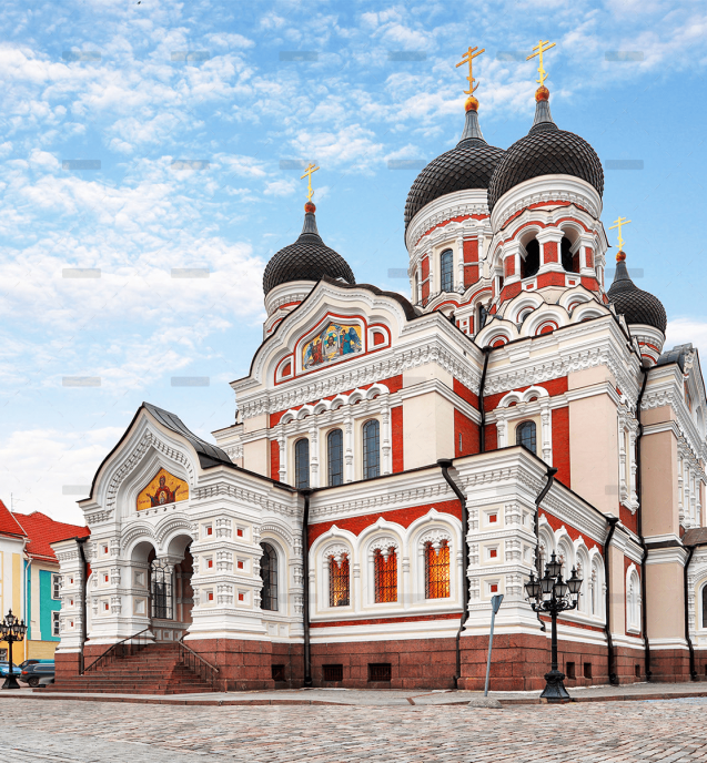 demo-attachment-645-Image-7